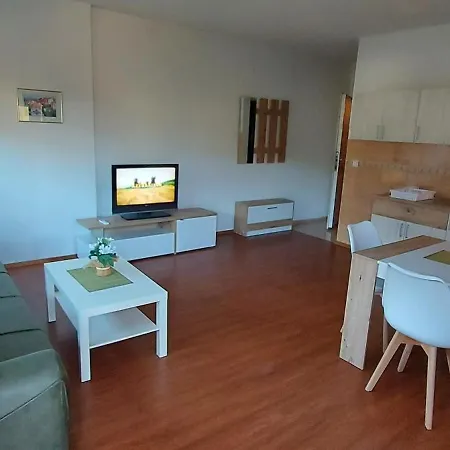 Miki Apartment *
